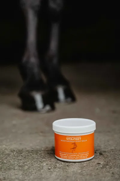 Hoof Balm Photo 5